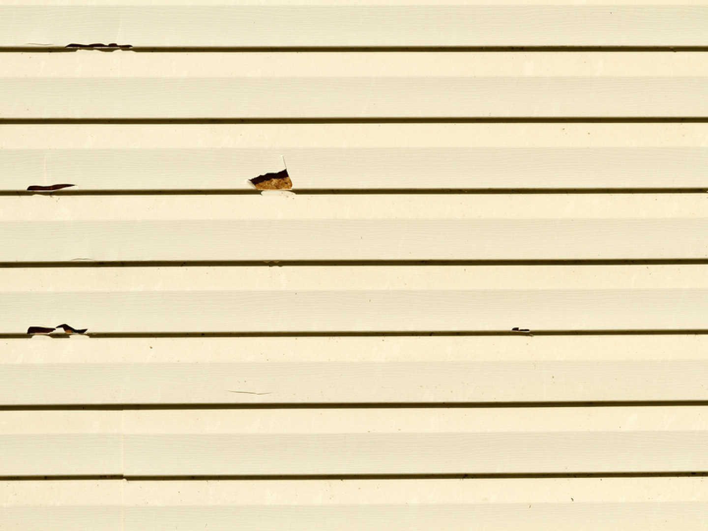 Siding Installation & Repair Mooresville, Charlotte & Huntersville, NC